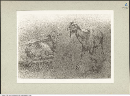 Vorderseite von bh235554_recto