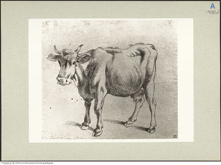 Vorderseite von bh235557_recto