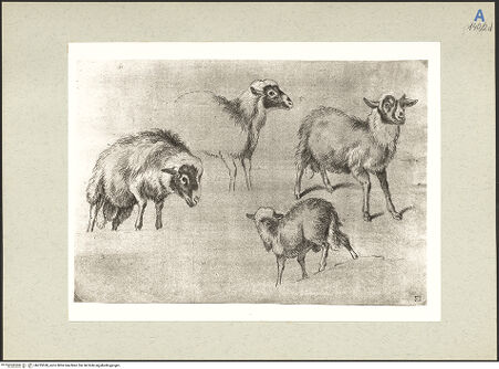 Vorderseite von bh235558_recto