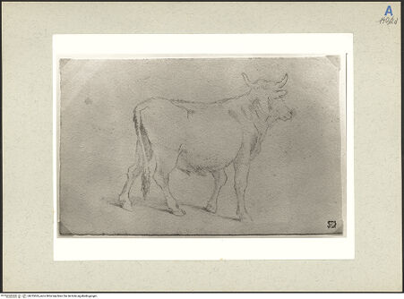 Vorderseite von bh235563_recto