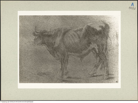 Vorderseite von bh235564_recto