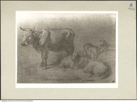 Vorderseite von bh235566_recto