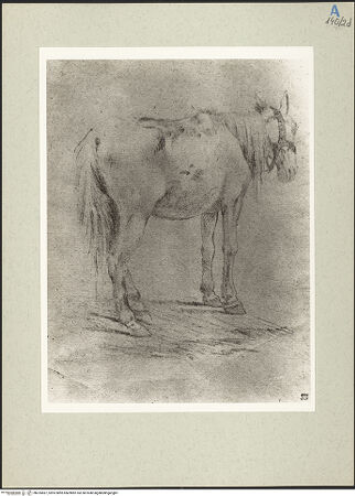 Vorderseite von bh235567_recto