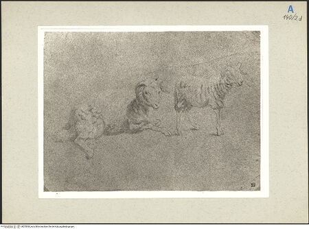 Vorderseite von bh235568_recto