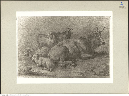 Vorderseite von bh235569_recto