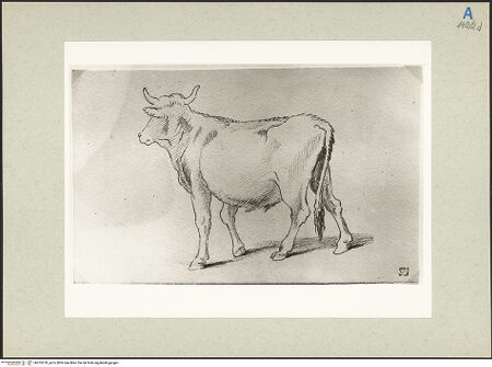 Vorderseite von bh235570_recto