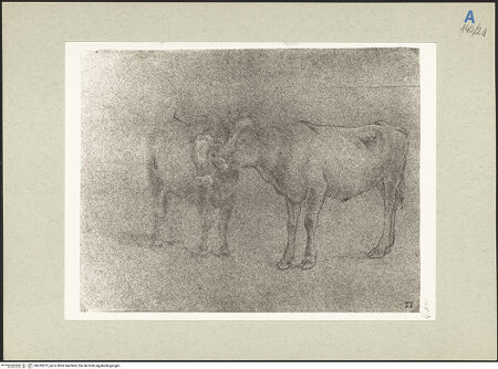 Vorderseite von bh235573_recto