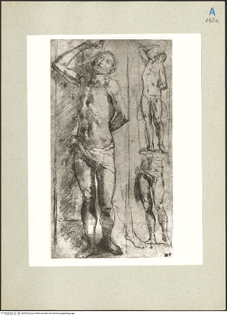 Vorderseite von bh235575_recto