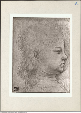 Vorderseite von bh235584_recto