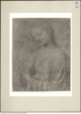 Vorderseite von bh235586_recto