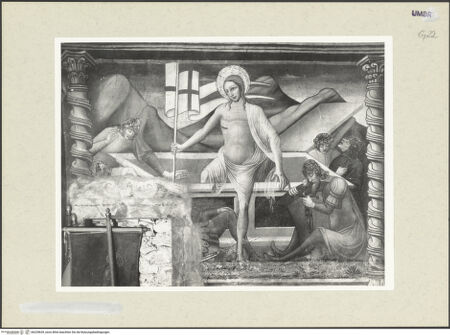 Vorderseite von bh235639_recto