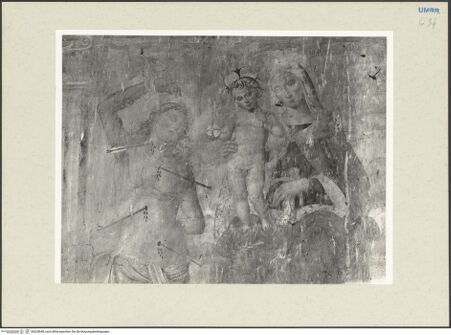 Vorderseite von bh235648_recto