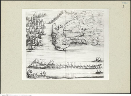 Vorderseite von bh235661_recto