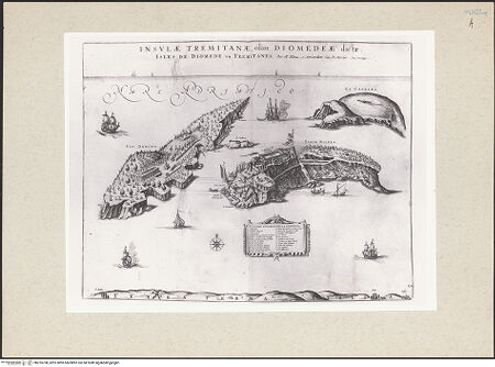 Vorderseite von bh235708_recto