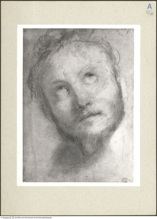 Vorderseite von bh235865_recto