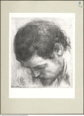 Vorderseite von bh235866_recto