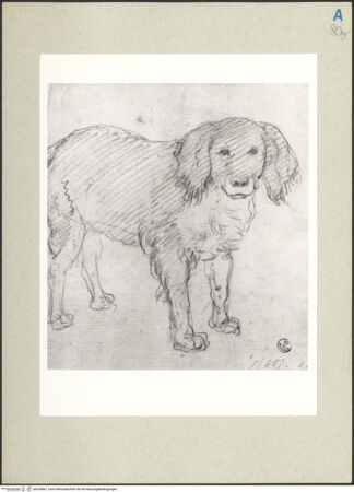 Vorderseite von bh235867_recto