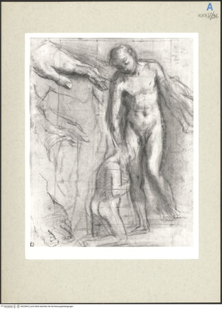 Vorderseite von bh235875_recto