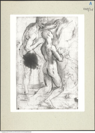 Vorderseite von bh235876_recto