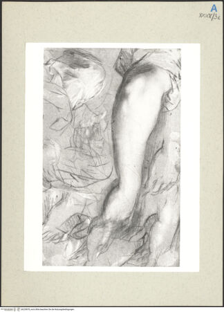 Vorderseite von bh235878_recto