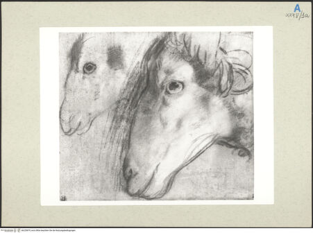 Vorderseite von bh235879_recto