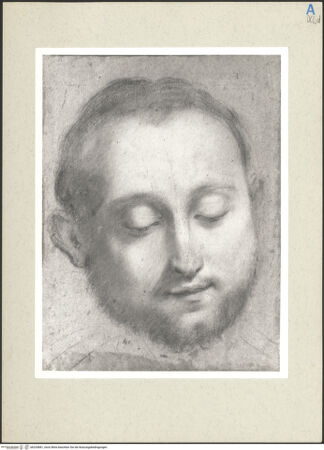 Vorderseite von bh235881_recto