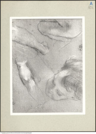 Vorderseite von bh235882_recto