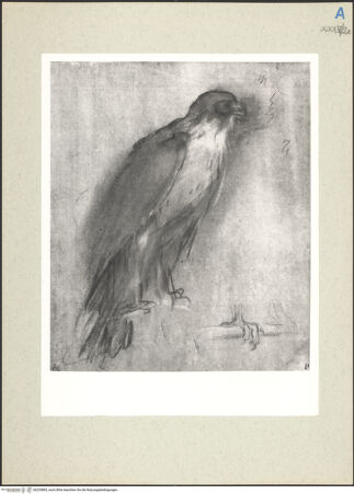 Vorderseite von bh235883_recto