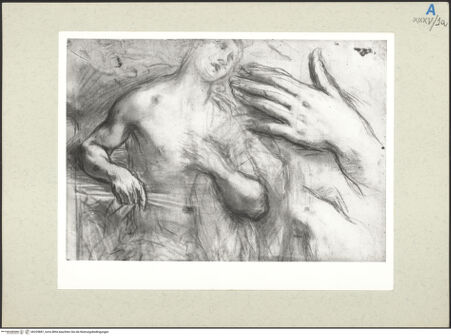 Vorderseite von bh235887_recto