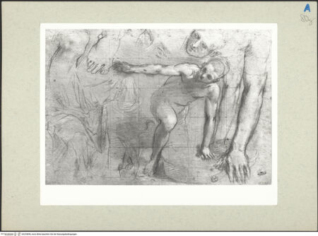 Vorderseite von bh235896_recto