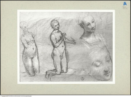 Vorderseite von bh235900_recto