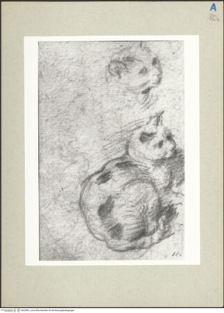 Vorderseite von bh235901_recto