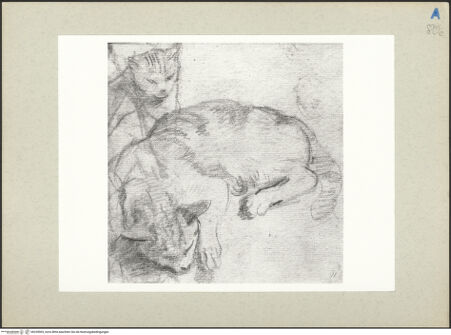 Vorderseite von bh235903_recto