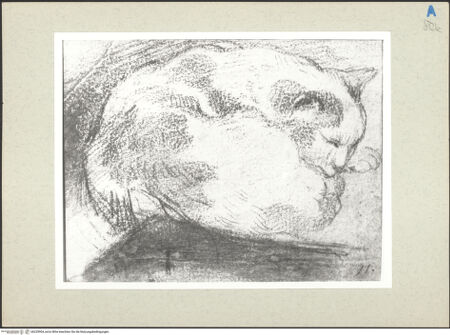 Vorderseite von bh235904_recto