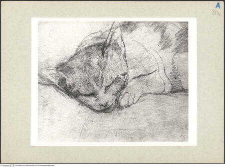 Vorderseite von bh235906_recto