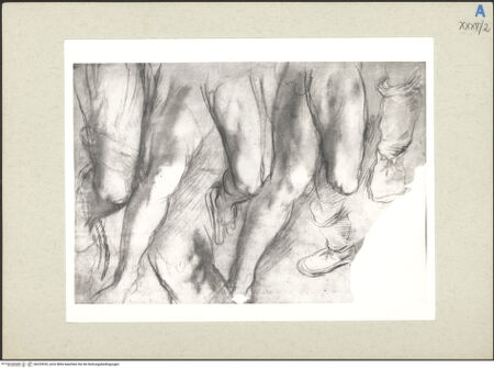 Vorderseite von bh235920_recto