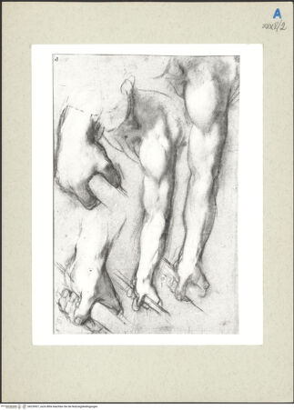 Vorderseite von bh235921_recto