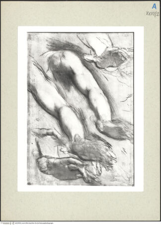 Vorderseite von bh235922_recto