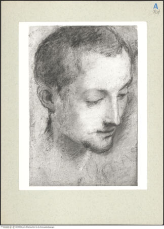 Vorderseite von bh235923_recto