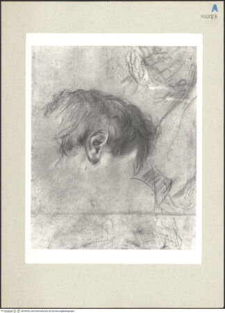 Vorderseite von bh235924_recto