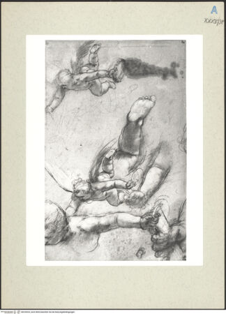 Vorderseite von bh235925_recto