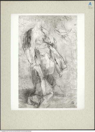 Vorderseite von bh235929_recto