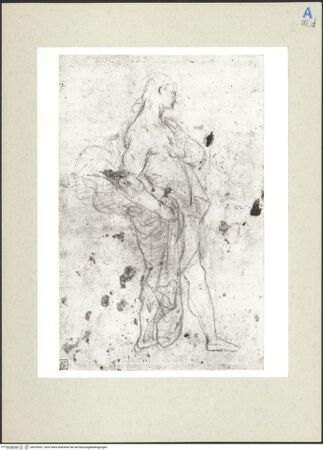 Vorderseite von bh235931_recto