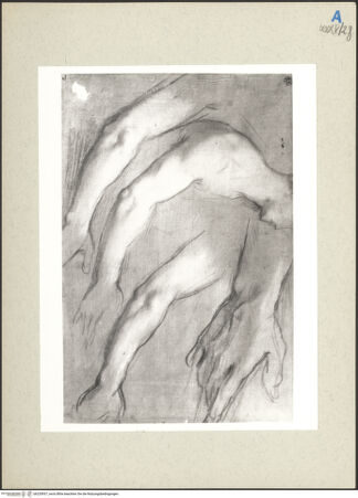 Vorderseite von bh235937_recto