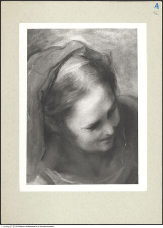 Vorderseite von bh235944_recto