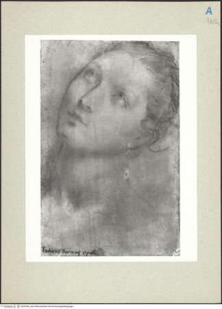 Vorderseite von bh235953_recto