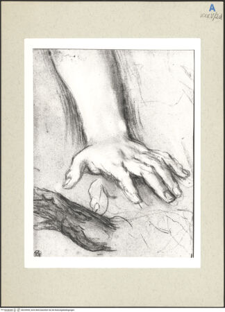 Vorderseite von bh235959_recto