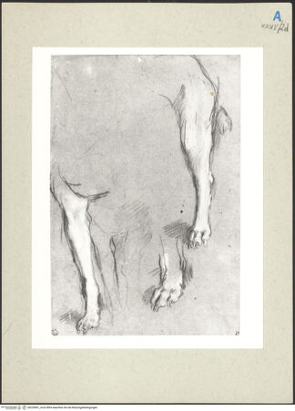 Vorderseite von bh235961_recto