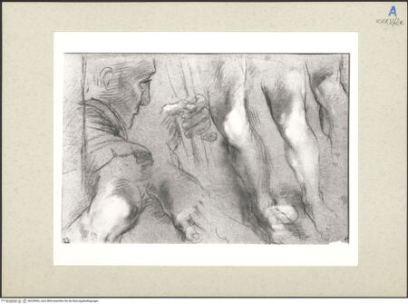 Vorderseite von bh235962_recto