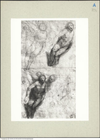 Vorderseite von bh235969_recto